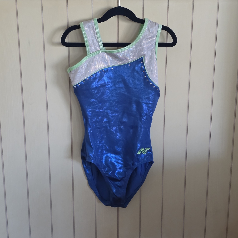 Blue and White Leotard with Green Accents
